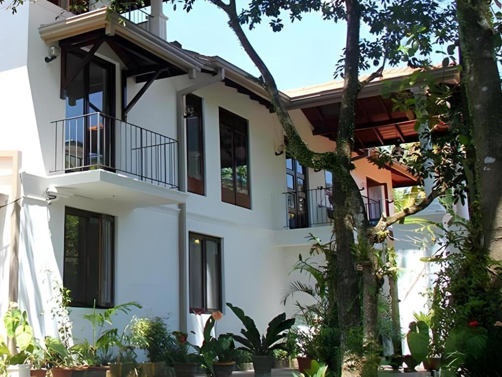 The Mgs Hotel Elpitiya  Eksteriør billede