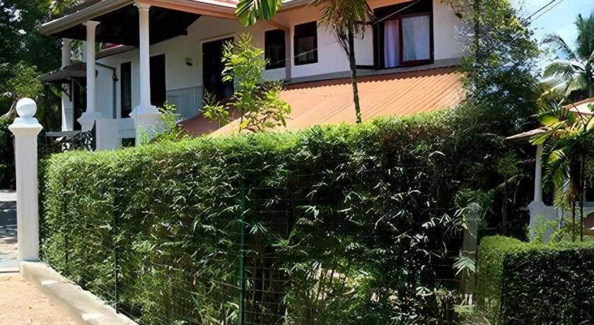 The Mgs Hotel Elpitiya  Eksteriør billede